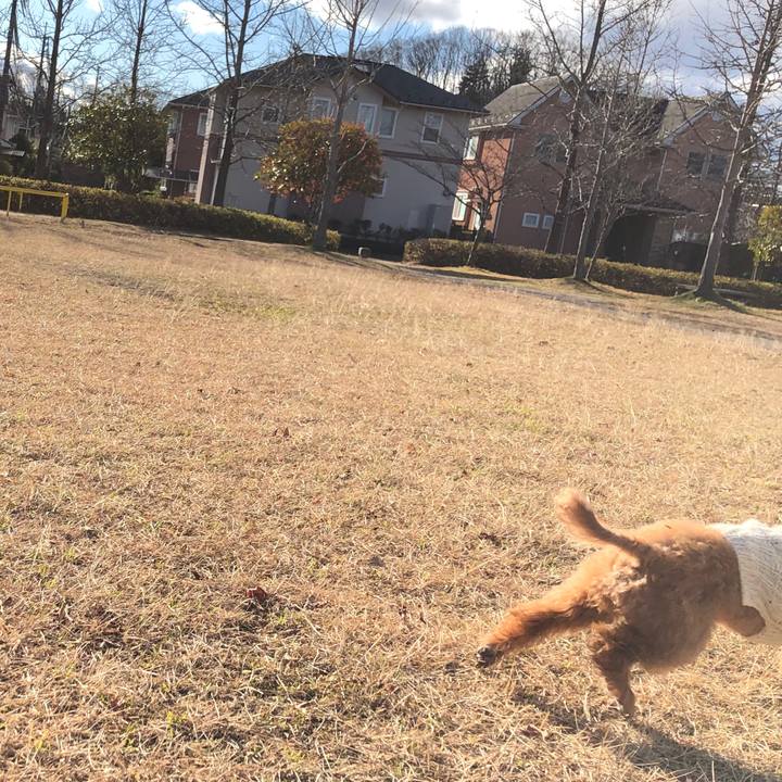 9ce152a8 7b38 4429 a75f e03ae8d05e84 1576909149890