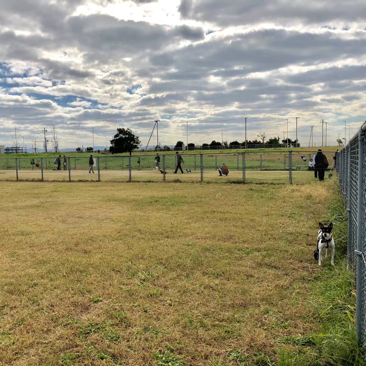 9ce15e48 fee9 4115 9862 75d4cbeb736a 1510481749602