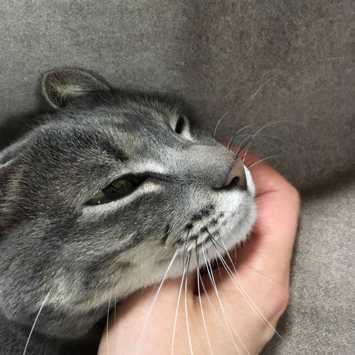 9ce164e0 3082 41d8 b836 eb89305d4888 1580382635522