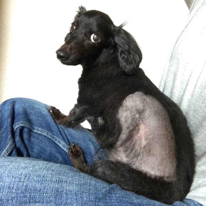 9ce1ac25 f818 4e79 be74 8f39dc082f9f 1532384822056