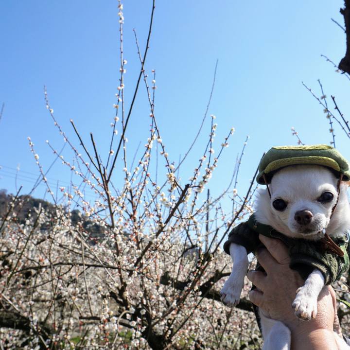 9ce1d495 510a 4b66 a65b feff97a336b1 1582541184719