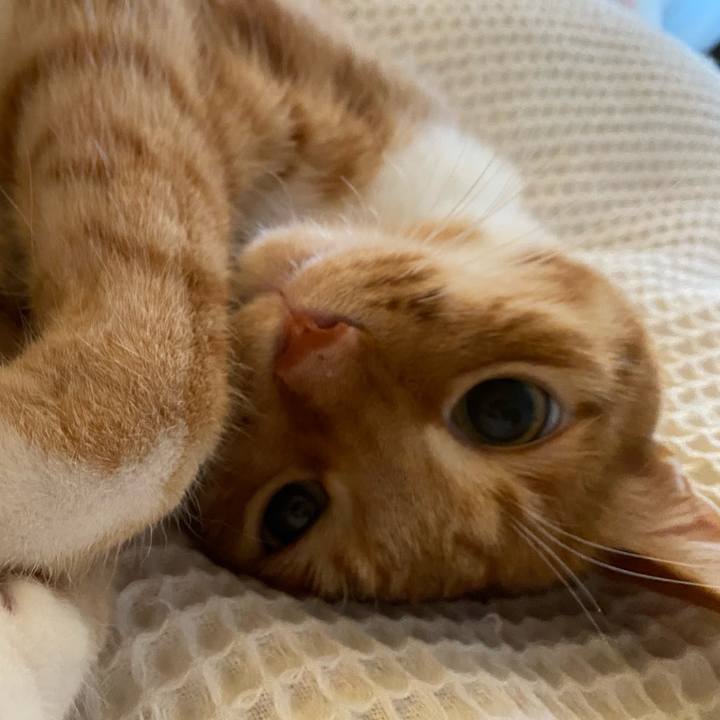 9ce1db12 fe92 4eb8 9b5e dbc77710171a 1624353866189