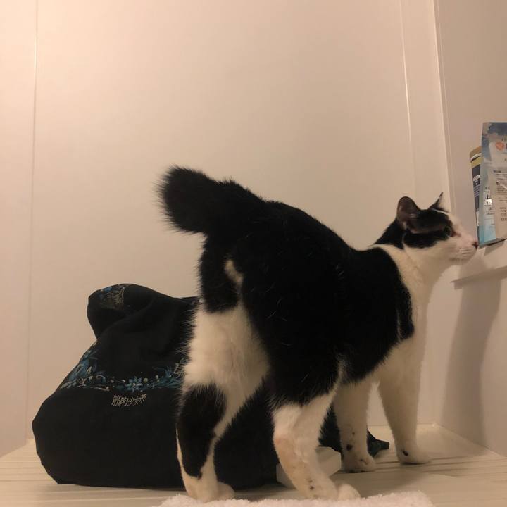 9ce2383b fdb7 40ed ad9c 748a159699ea 1560951397981