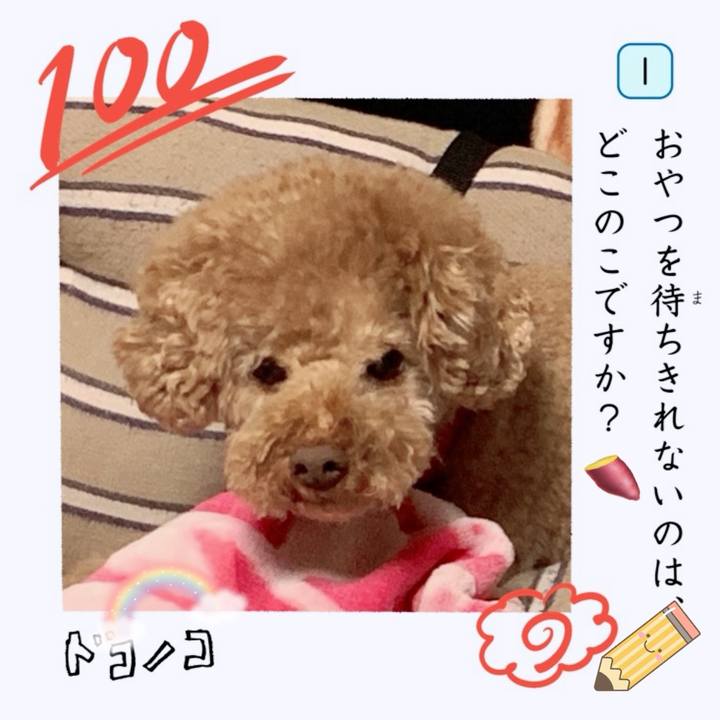 9ce241e6 6d43 41ed 928f da1b59be6121 1744270417561