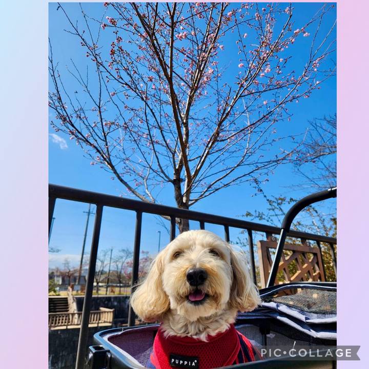 9ce24412 3dcf 4b35 bbb9 545df940dbf9 1773897958600