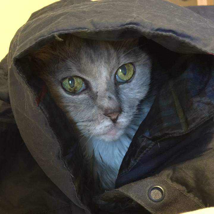 9ce24b05 6ad8 48a5 ba23 6b864246ae87 1512189318827