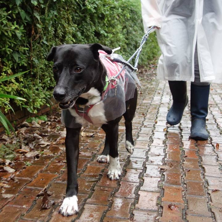 9ce25e9c 158d 4edb b228 f7327b0f62a0 1634084975390