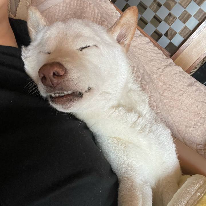 9ce2b403 a3f4 4970 926e 8bccdf2ee9d2 1650082546285