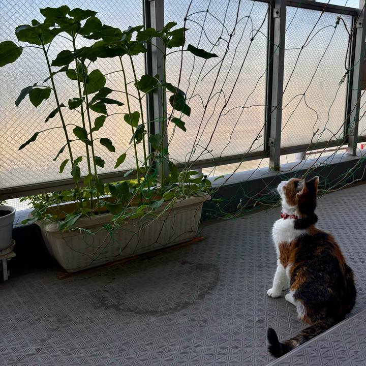 9ce2c8cc 47a1 40e7 8ed4 549963b11a2e 1717712283261