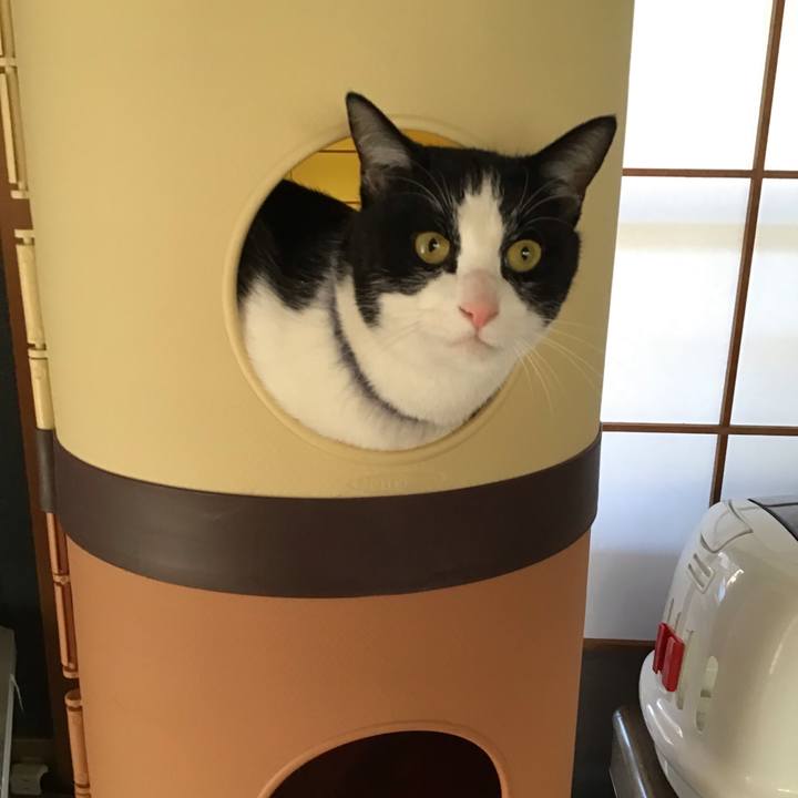 9ce2e9eb 34d1 411a b054 be46b211110a 1672406219267