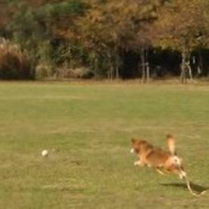 9ce2f5bf 06cf 492f 8dbb d8e2bac5e41a 1510615318253