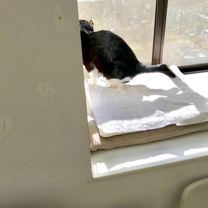 9ce33203 8661 46ed 83eb e90f0533ba3e 1549246841881