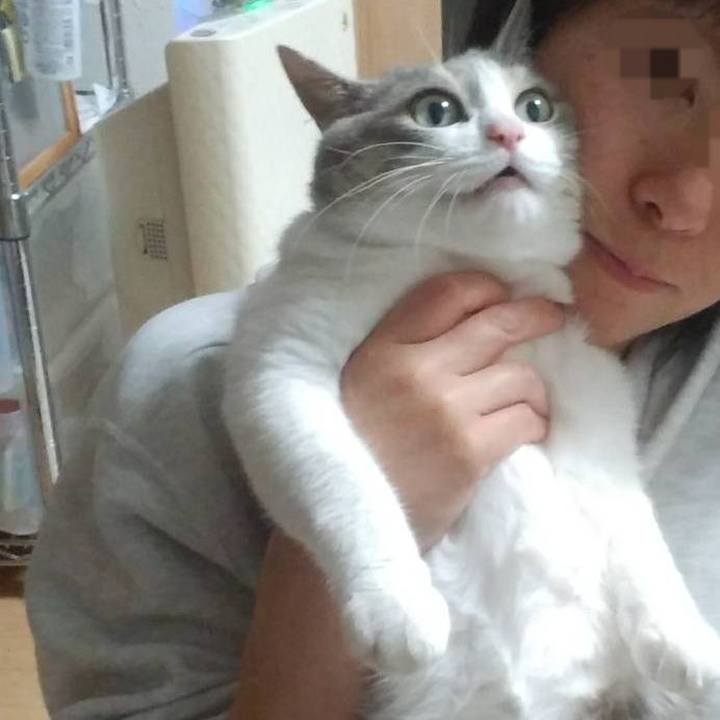 9ce35884 56a4 490b 9909 529f1c250924 1588345719124