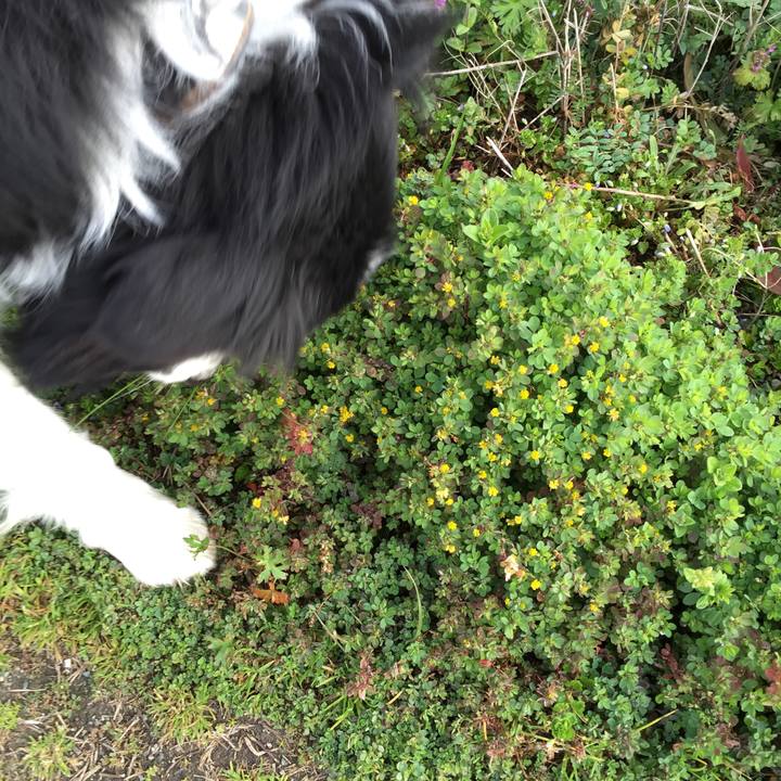 9ce39f53 214b 4d4e 928a d04f3be83ab6 1550881672757