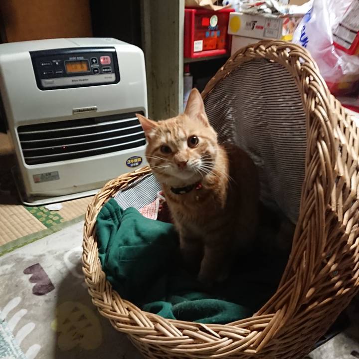 9ce39f8a c29f 4352 8666 eb3e29cc8a8f 1643578436766