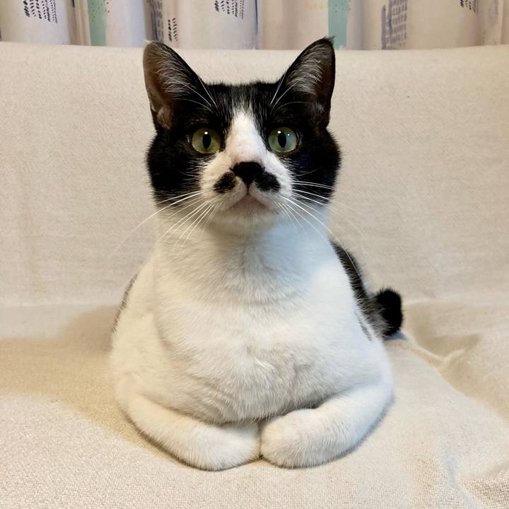 9ce3c038 6cc4 40eb bfcb 3a273794ab6f 1763810706564