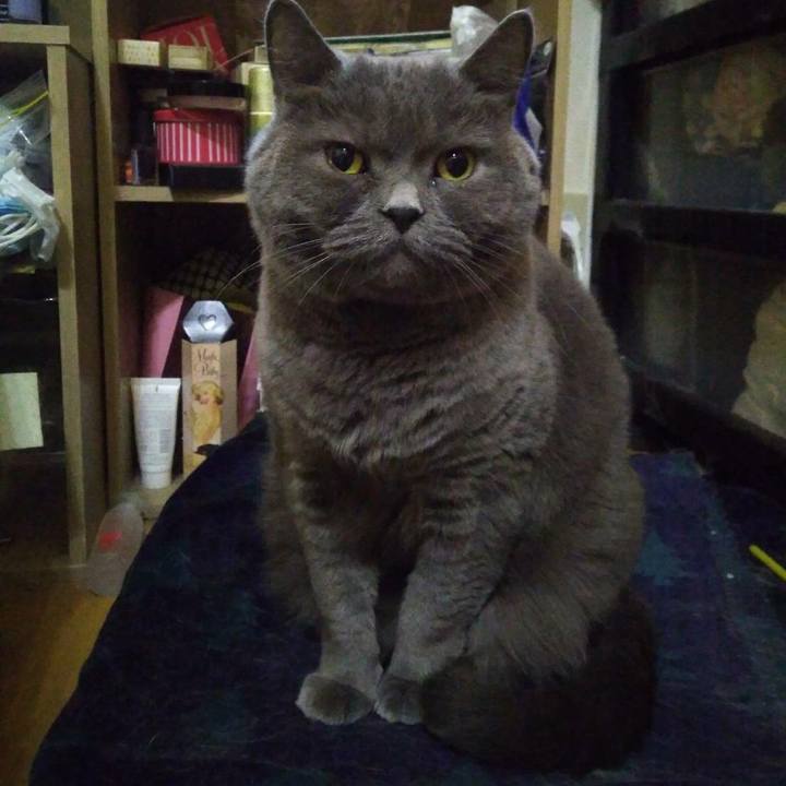 9ce3cbf7 ece9 466f 9433 c8c9668d52e8 1606630004760