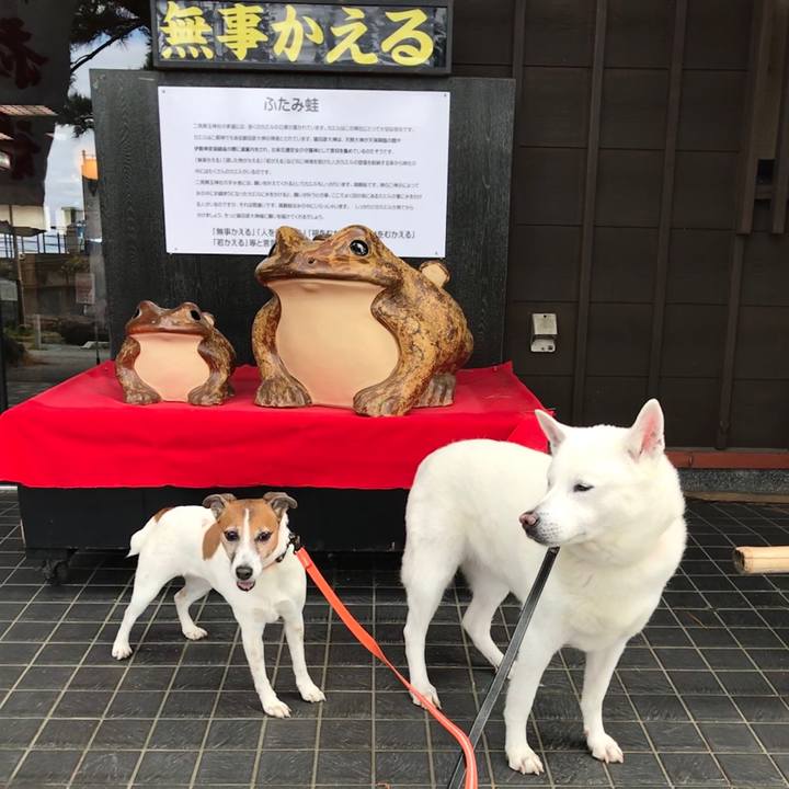 9ce3f854 7e2f 4549 9661 aa579082b282 1523796477754