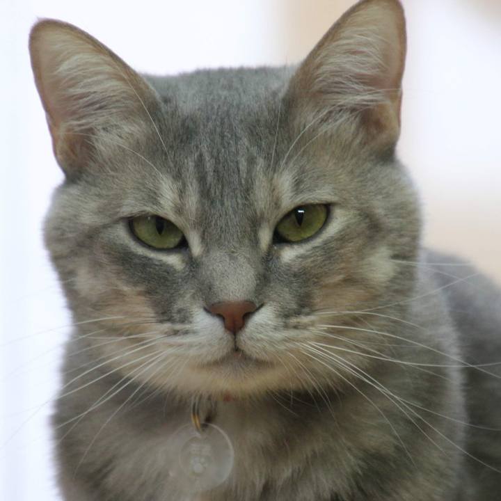 9ce442c3 f300 49bb b7d4 1d588b42e46d 1551842459623