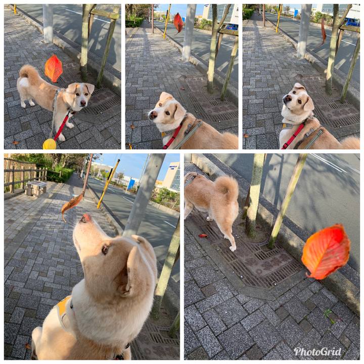 9ce44c4b e10e 4249 a047 79ddc0738843 1572742249607