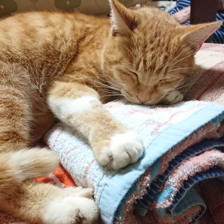 9ce4520e 4c8b 4d63 b0cb 47864507da02 1604722996561