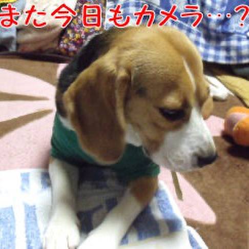 9ce46225 1de4 4ff8 bef3 730335a4618b 1717713281437