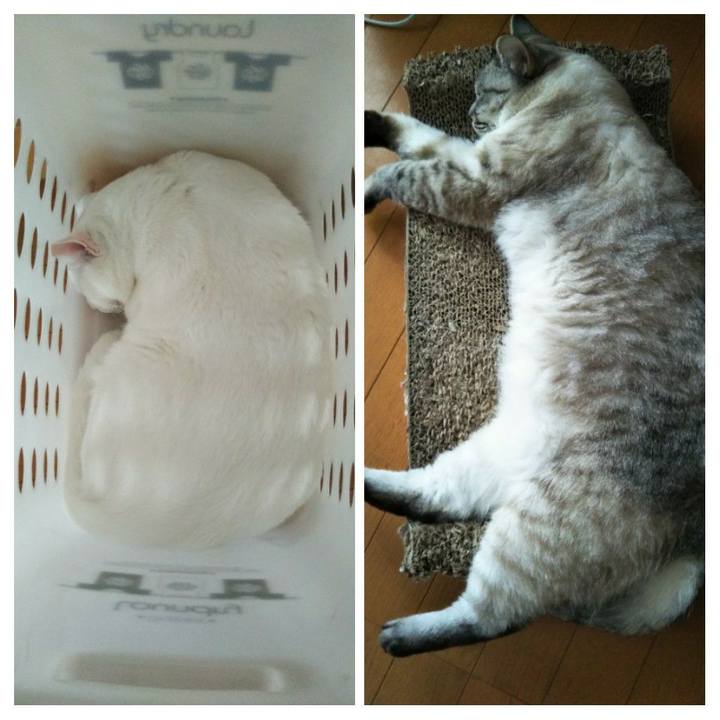 9ce47f36 d4da 4c26 a317 563e56b4c6f9 1562332946832