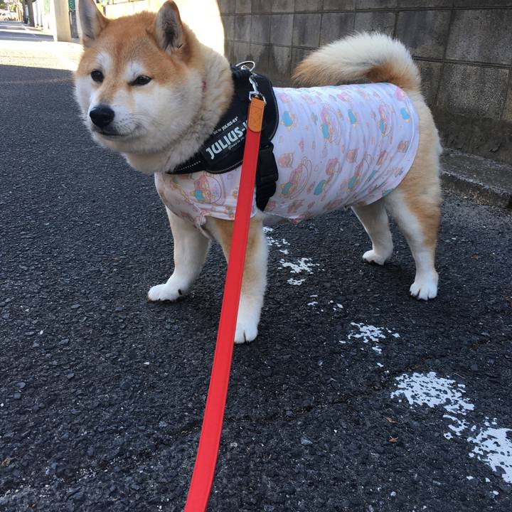 9ce48442 4a94 446a 84f3 5e22d3aabacc 1577591592796