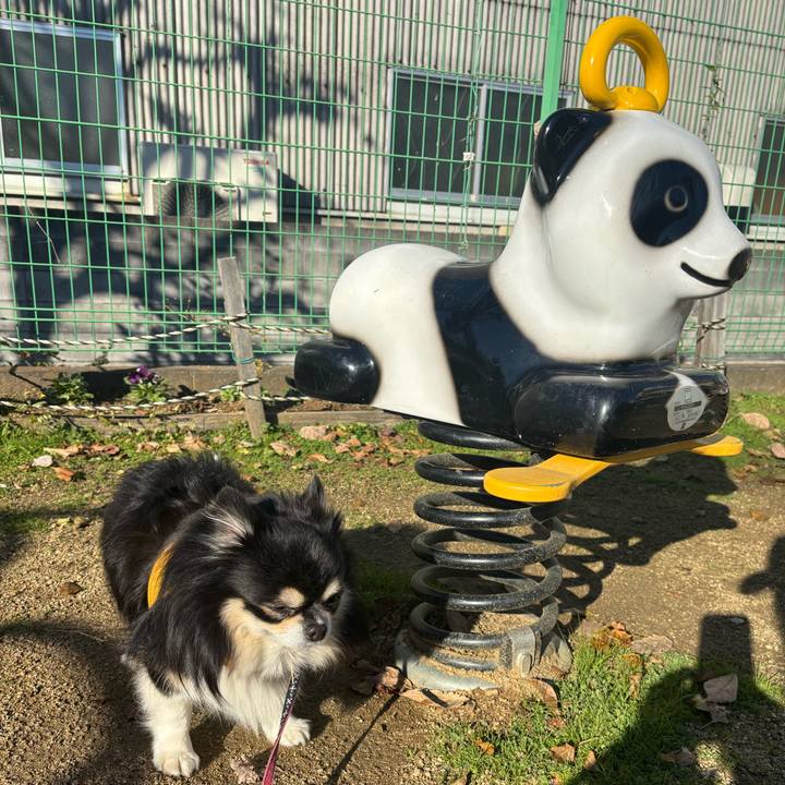 9ce52e77 e9d0 41bf a71d f52649fa5903 1764375358949