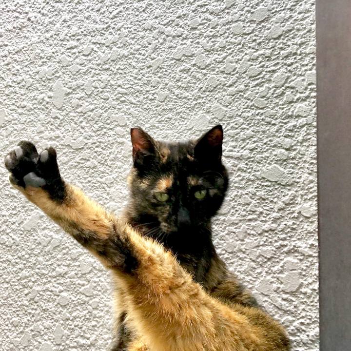 9ce53fa8 0e54 46d1 97ff 1dd2c067efc3 1560762296316