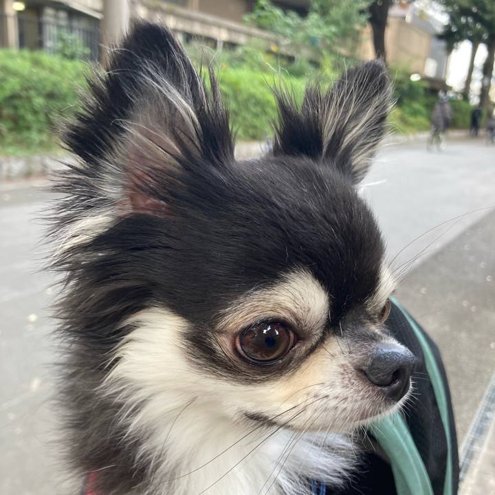 9ce561c0 d592 47bd 8a22 a87618239b6d 1699182112264