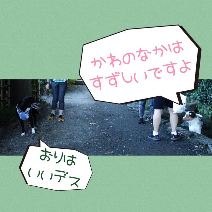 9ce5d802 ee9e 4960 a992 9ac0a5b1d624 1722816873063