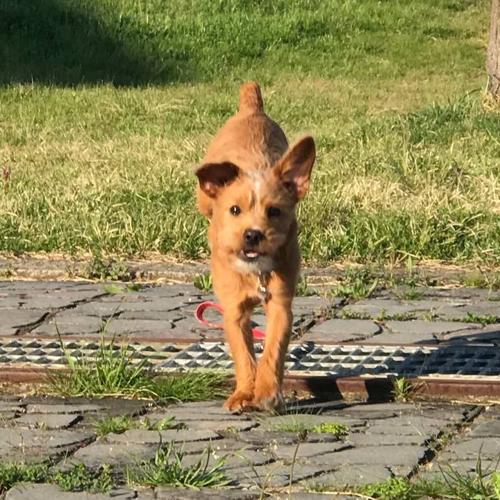 9ce5db94 7ca8 44fa a2f8 dcfffa17e6c8 1524870062526