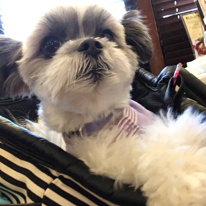 9ce5e440 fb22 4b77 b4e0 d637ccf7ed8d 1508652203326