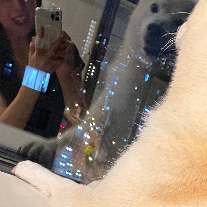 9ce5fa48 a5de 4f84 a1ee a3c0c2aae429 1683810461181