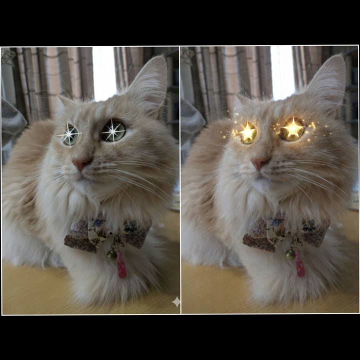 9ce623a4 dc6c 458e 98c4 ef83c118250b 1768999094071