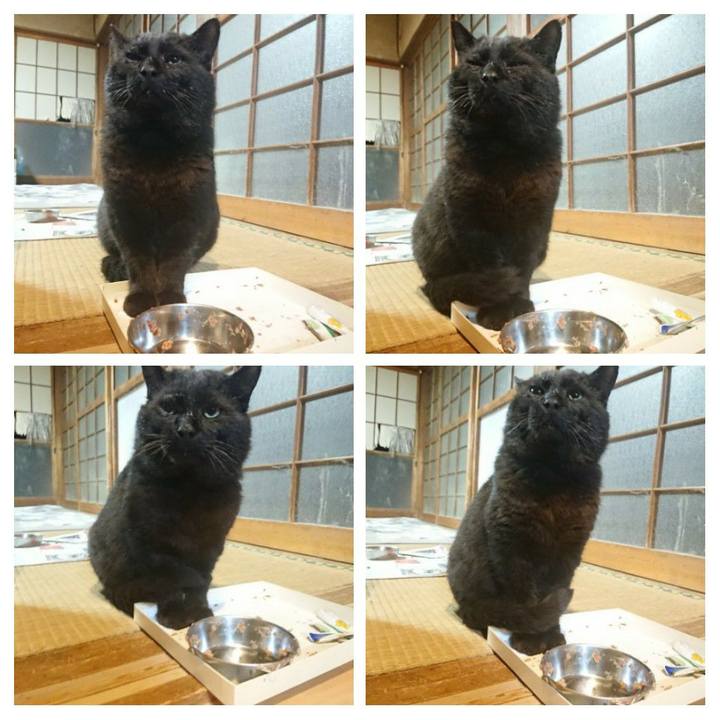 9ce69877 a3b6 4965 bd80 e8a3430c9765 1618314674760