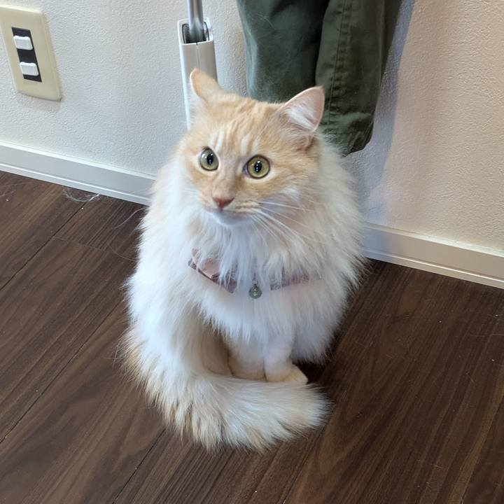 9ce6b110 7268 4e9d 9c3e 98bd3670328c 1743831928245