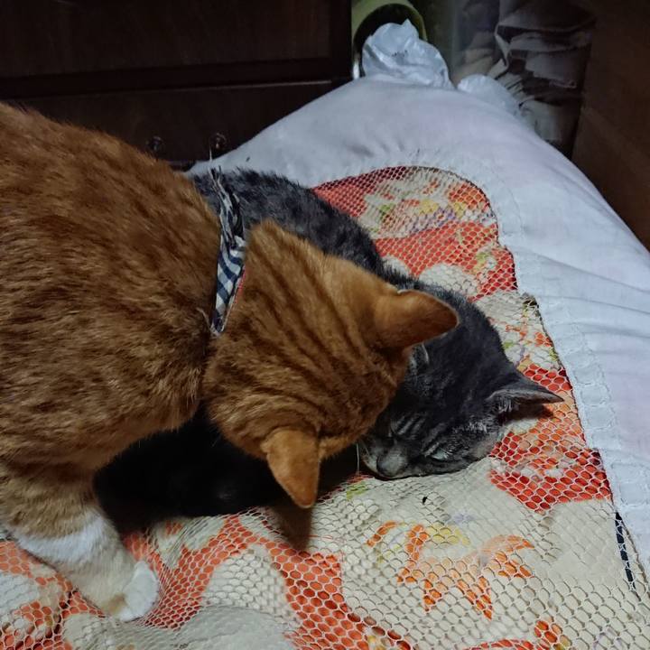 9ce6b793 aacc 4e0b 9d99 676bd347c835 1572962205109