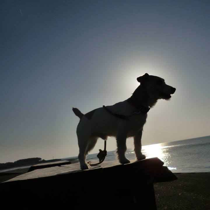 9ce6b8cd 1996 426f 9174 6851ebfefe83 1551002268163