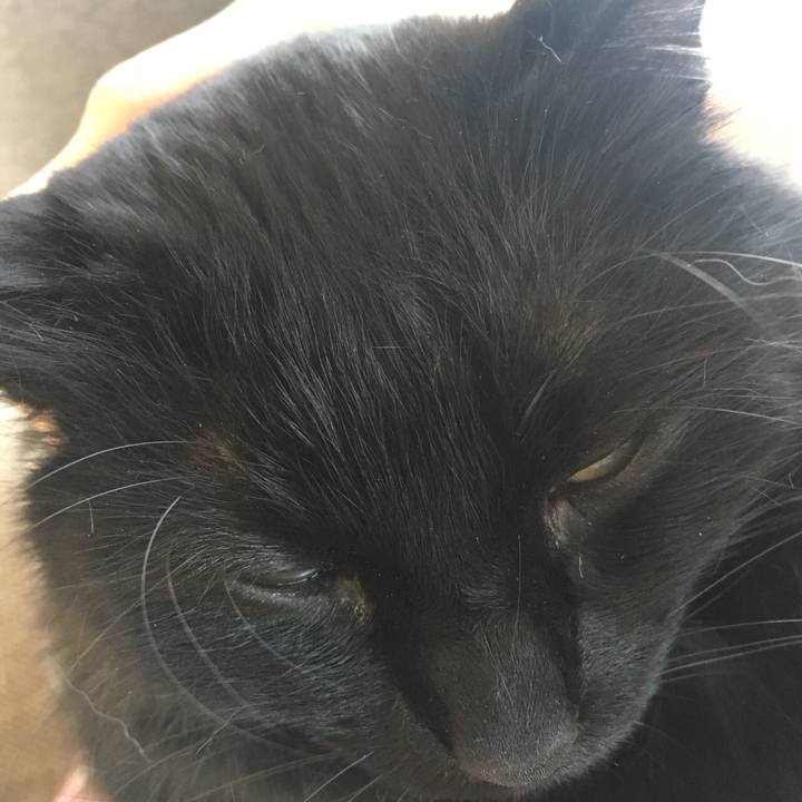 9ce71a43 3331 4d43 933f 8f866fe4375d 1526008619690