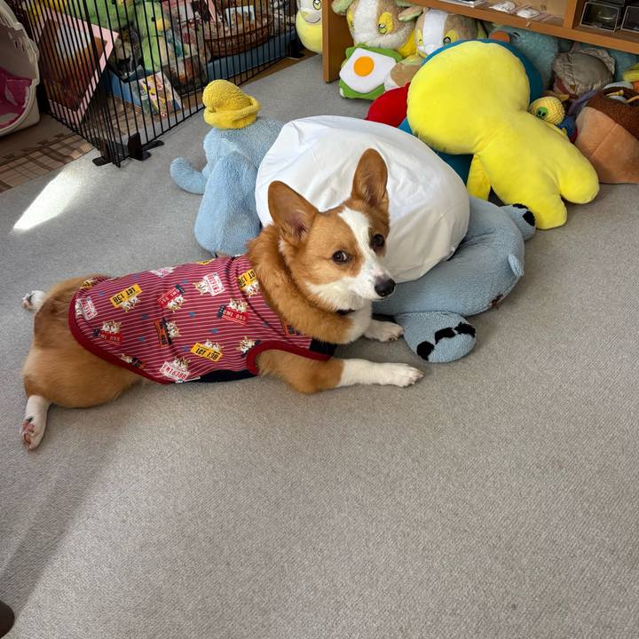 9ce768e3 dec2 468b 9e72 41840686341a 1763166492421