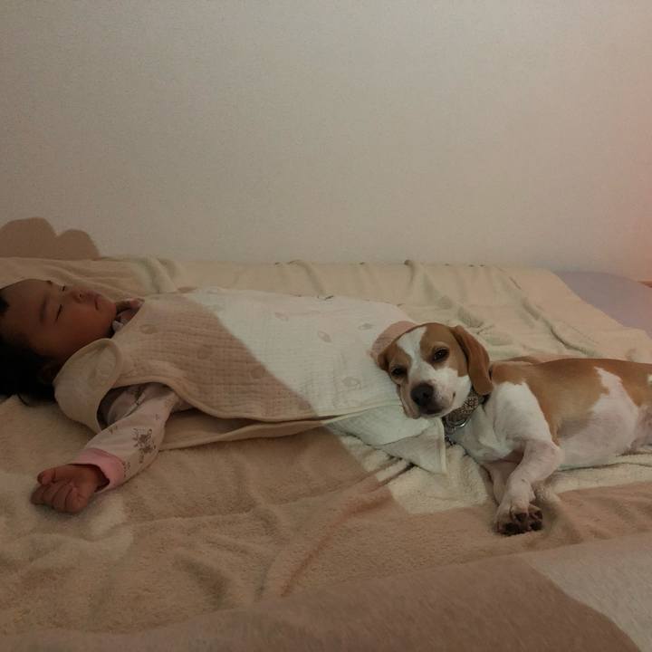 9ce76b25 fb86 40b2 8d81 412643337e3f 1635385942818