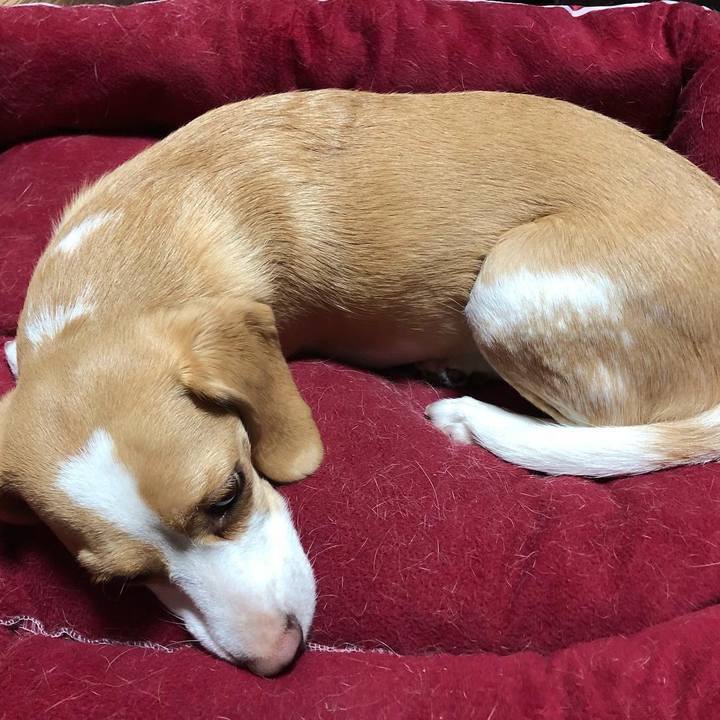 9ce7d5d5 0cd0 47e5 a17a 24996f64d523 1567948077735