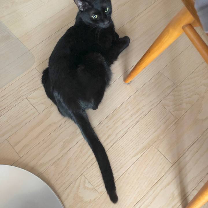 9ce7e115 b8b3 48c7 a315 15d5efac1240 1589628383862