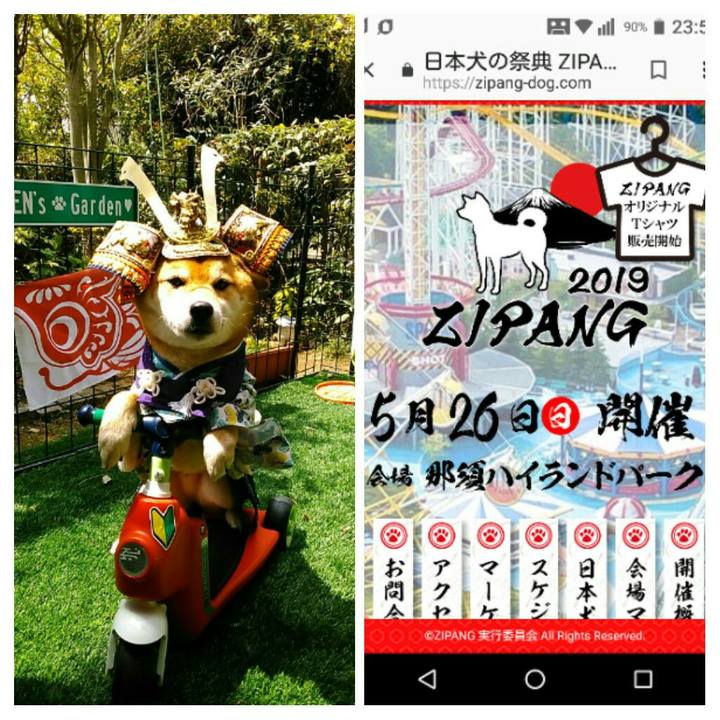 9ce7f195 725d 4e77 a328 df36634b301e 1557154691314