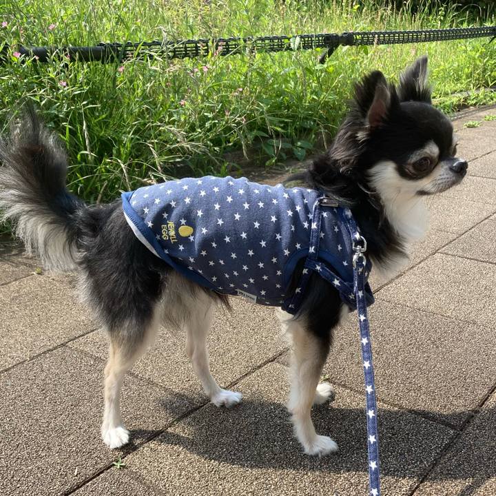 9ce7fbd8 37be 407d 9a3b 6ab33642385c 1654439017423