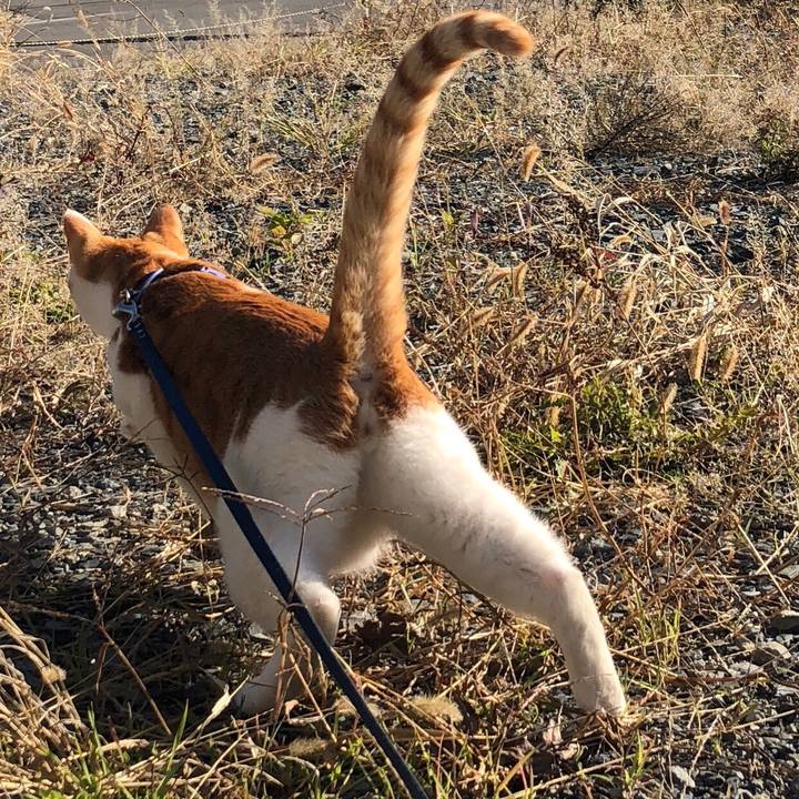 9ce81c6d 34a6 44bb b907 22b0b5668f38 1542334579556