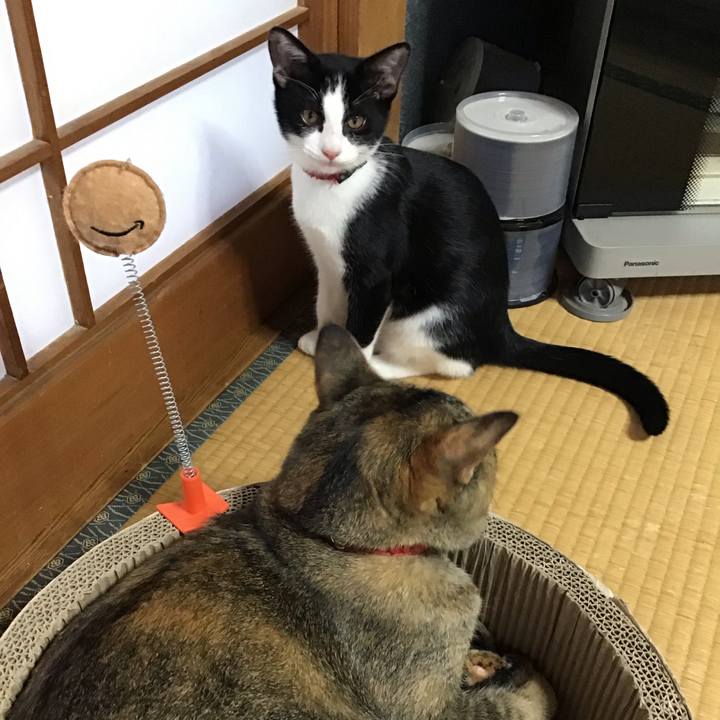 9ce82795 cd89 4f30 a521 217fec7c9358 1627968551305