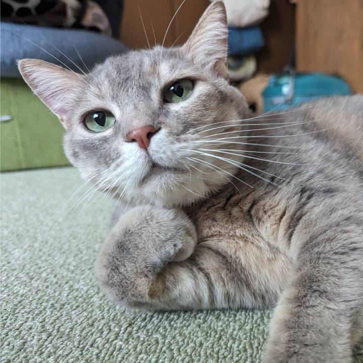 9ce879eb f987 4bc6 b6fd 4357a8300a45 1707192226669